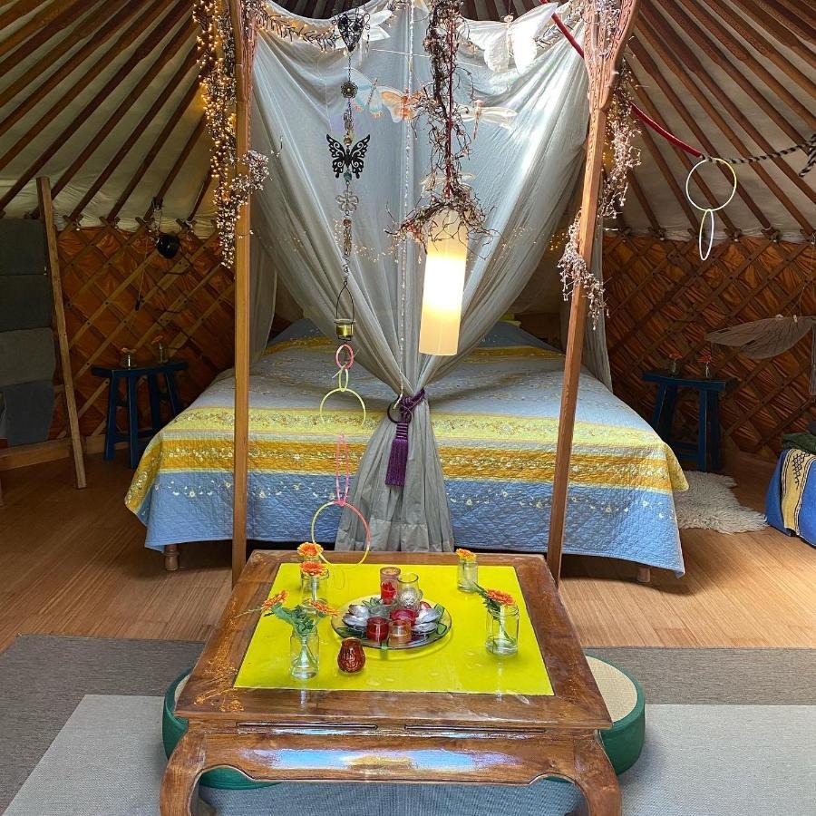 Reijgershof Bed & Breakfast อัมสเตอร์ดัม ภายนอก รูปภาพ